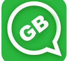 GBWhatsApp Apk Crack With Serial Key Free Download (1)